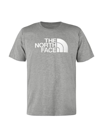 The North Face Evolution Half Dome Regular T-Shirt in Grau