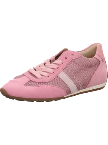 Gabor Schnürschuh in pink