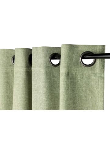 Schöner Wohnen Kollektion Ösenvorhang COAST 1 in Grün