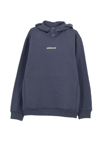 adidas Pullover Adibreak Hoodie Sweat in Blau