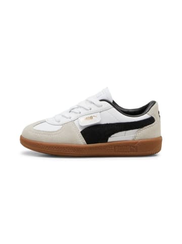 Puma Sneaker "Palermo Lth PS" in Weiß