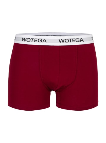 WOTEGA 6er-Set: Boxershorts Joe in Mix1