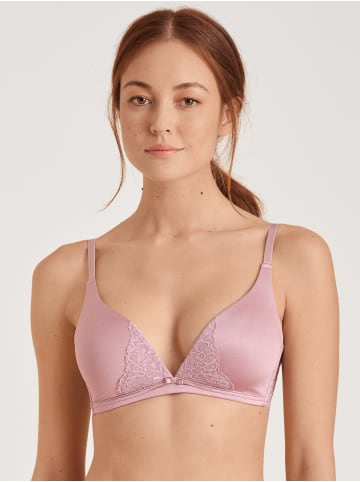 Calida Triangel-BH in mauve shadow