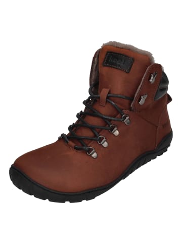 KOEL Ankle Boots Porter Lambswool 05X029.237-510 in braun