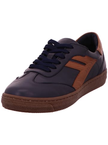 Andrea Conti Sneaker in blau