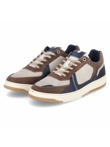 Bullboxer Low Sneaker in grau