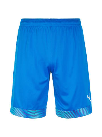 Puma Trainingsshorts Cup in blau