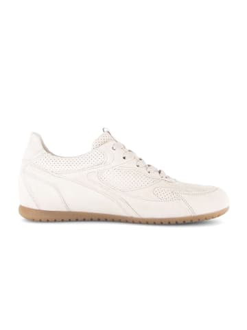 Gabor Sneaker low in beige