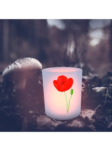Mr. & Mrs. Panda Deko Windlicht Blume Mohnblume ohne Spruch in Transparent