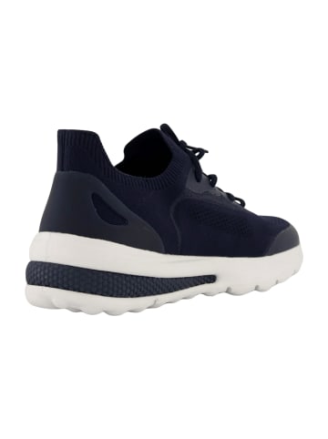 Geox Sportliche Schnürschuhe in Blau