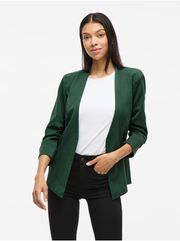 Vila Blazer in Pineneedle
