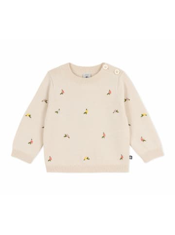 PETIT BATEAU Pullover für Mädchen in kombi
