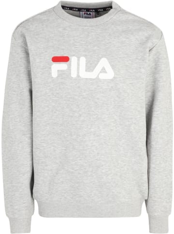 Fila Pullover in Grau