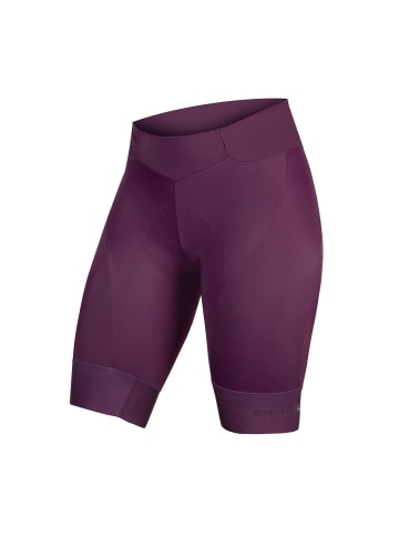 ENDURA Radhose in AUBERGINE