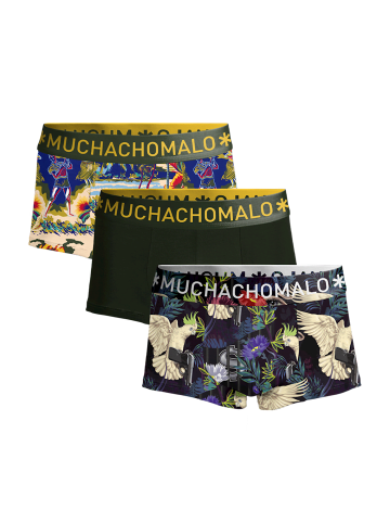 Muchachomalo 3er-Set: Boxershorts in Multicolor