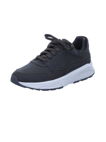 Xsensible Sneaker für Herren in braun