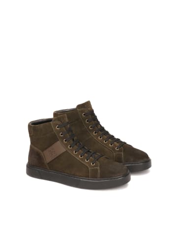 Kazar Sneaker Low in Khaki