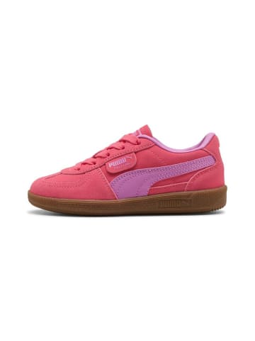 Puma Sneaker "Palermo PS" in Pink