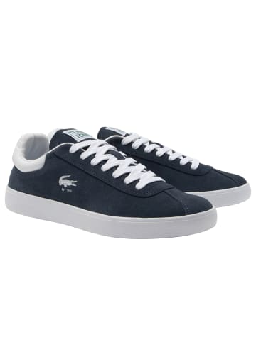 Lacoste Sneaker in Blau/Weiß