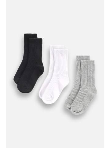 Coccodrillo Socken in bunt