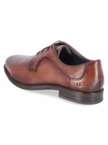 Josef Seibel Schnürhalbschuh in brown