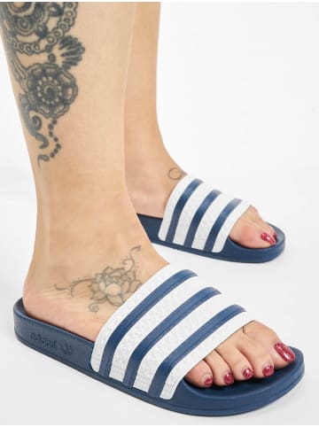 adidas Sandalen in adiblue/white