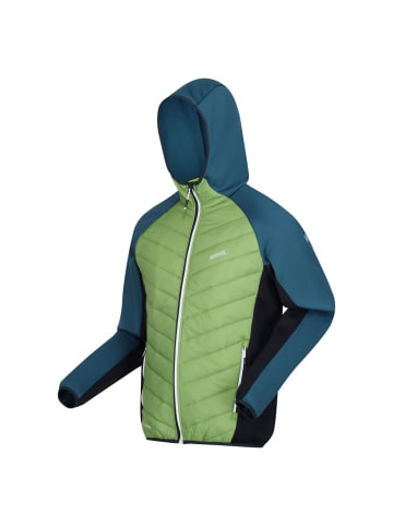 Regatta Softshelljacke Steppjacke Andreson VIII Hybrid in Grün