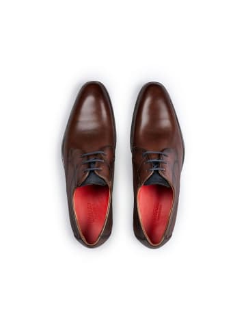 LLOYD OSTIA OSTIA in darkbrown/atlantic blue