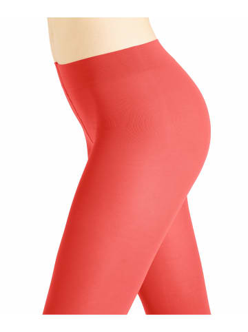 Falke Leggings Pure Matt 50 DEN in Orange