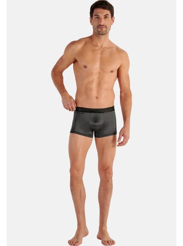 HOM Retro Short / Pant Monsieur in Dunkelgrau