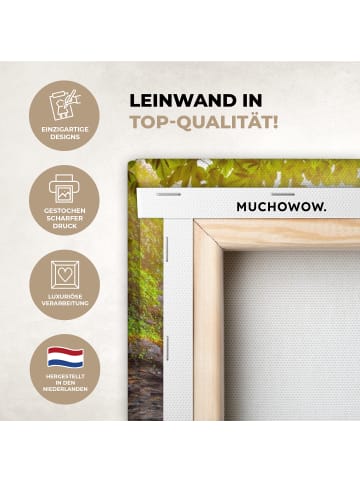 MuchoWow Leinwand bilder Sonniger Wasserfall (BxH)