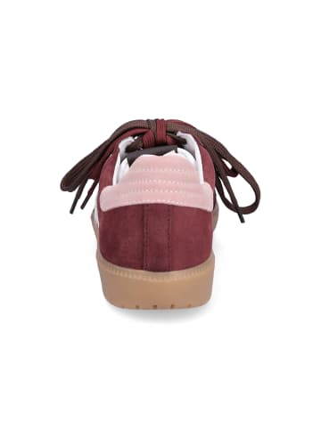 MIDS MORGAN Sneaker in Bordeaux