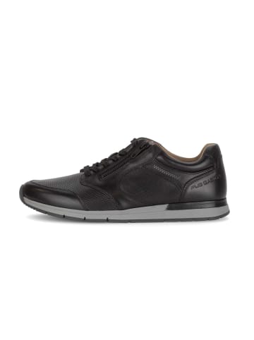 Gabor Sneaker low in schwarz