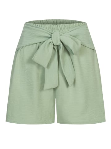 Cloud5ive Cloud5ive Shorts in green