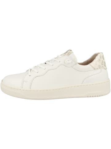 Gabor Sneaker low 43.342 in creme