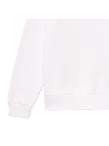 Lacoste Sweatshirt in Weiß