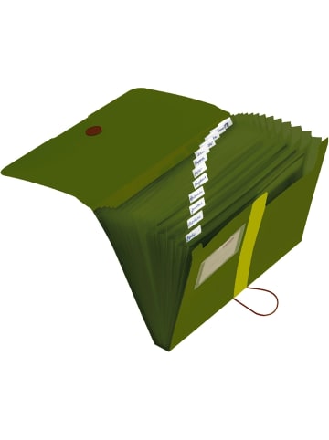 Herlitz Fächermappe A4 Recycling PP 12 Fächer dunkelgrün to go