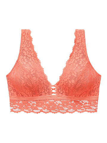 Vivance Bralette in tangerine