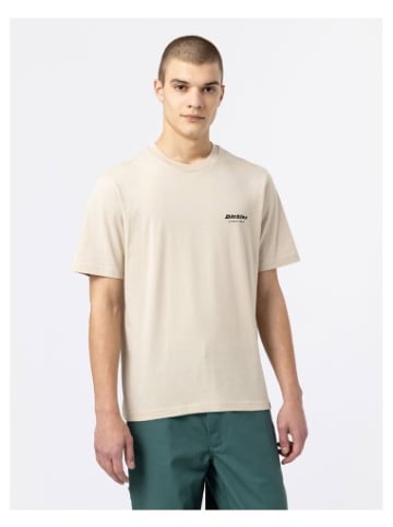 Dickies Tshirt in Beige