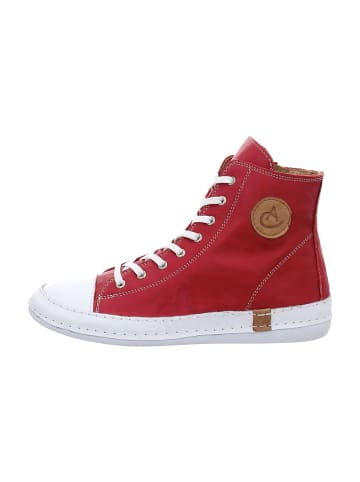 Andrea Conti Sneaker High in Rot