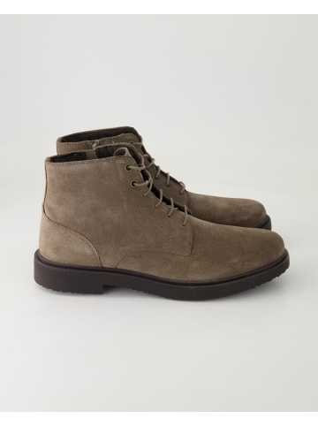 Geox Stiefeletten in Grau