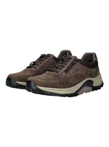 Pius Gabor Sneaker in Mocca