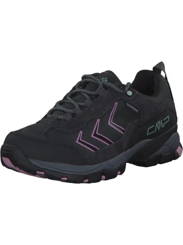 cmp Schnürschuhe in piombo-ametista