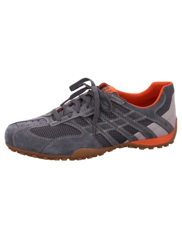 Geox Sneaker Snake in Grau