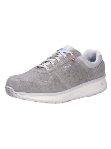 Joya Schnürschuh DYNAMO CLASSIC W LIGHT GREY in grau