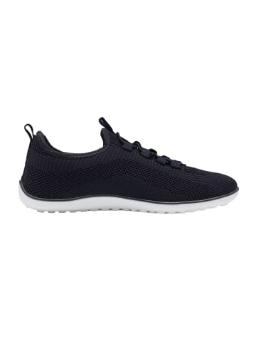Kangaroos Sneakers Low K-BF Bole in grau