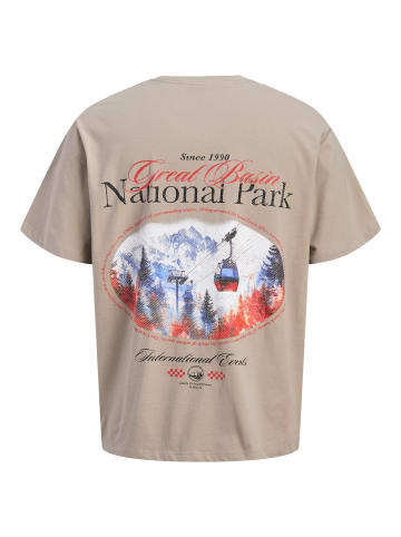 Jack & Jones T-shirt in Vintage Khaki