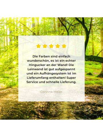 MuchoWow Leinwand bilder Waldlicht (BxH)