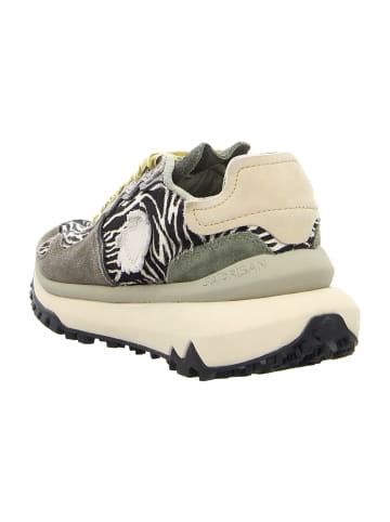 Satorisan Sportliche Schnürschuhe in Animal