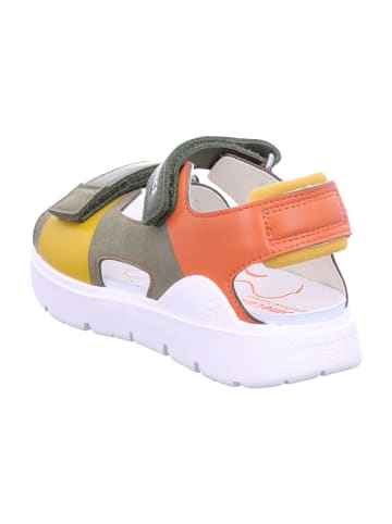 Biomecanics Sandalen in Bunt